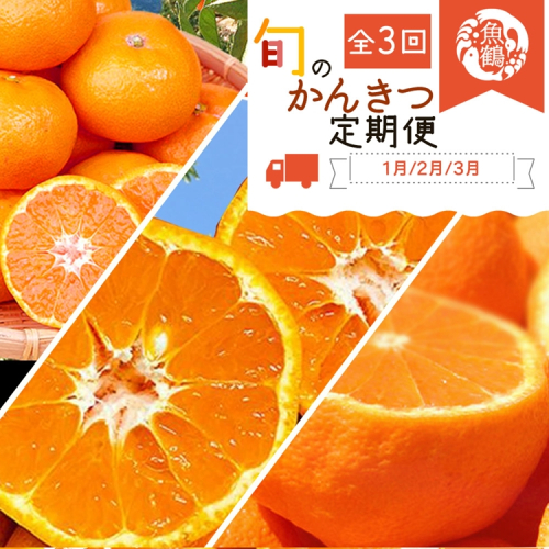 〈定期便〉【1・2・3月 全3回】紀州和歌山産旬のフルーツセット(みかん・不知火・せとか) 2318456 - 和歌山県美浜町