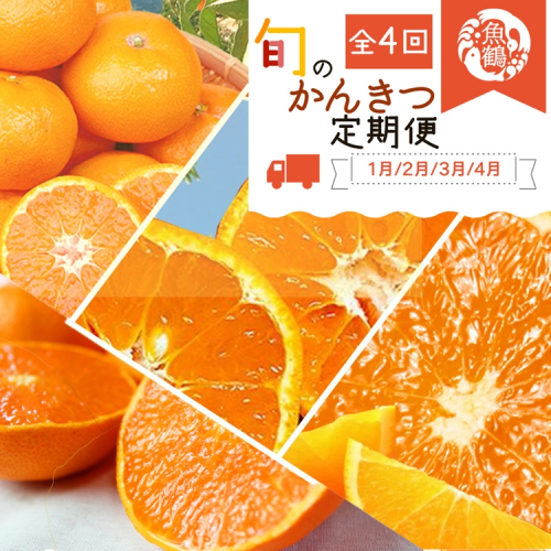 〈定期便〉【1・2・3・4月 全4回】紀州和歌山産旬の柑橘セット(みかん・不知火・せとか・清見) 2318460 - 和歌山県美浜町