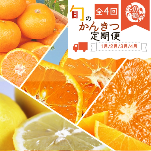 〈定期便〉【1・2・3・4月 全4回】紀州和歌山産旬のフルーツセット(みかん・不知火・レモン・清見) 2318463 - 和歌山県美浜町
