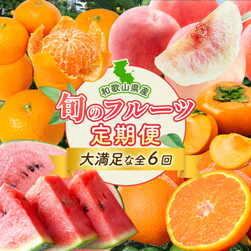 〈定期便〉【2・4・6・8・10・12月 全6回】紀州和歌山産旬のフルーツセット(不知火・清見・スイカ・桃・柿・みかん) 2318465 - 和歌山県美浜町