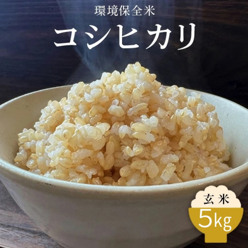 令和7年産 環境保全米 コシヒカリ玄米5kg ※北海道・沖縄・離島への配送不可 2318466 - 富山県魚津市