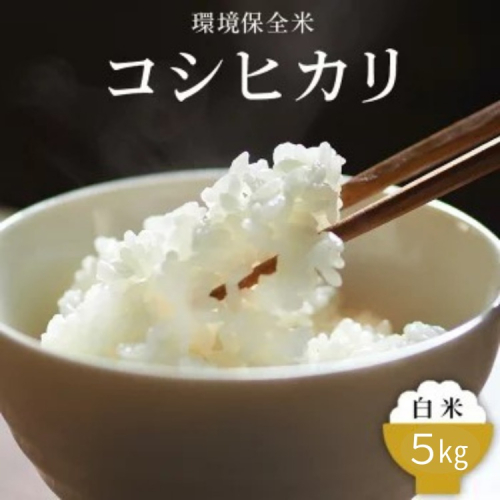 令和7年産 環境保全米 コシヒカリ白米5kg ※2025年10月上旬～2026年3月下旬頃に順次発送予定 ※北海道・沖縄・離島への配送不可 2318472 - 富山県魚津市