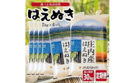 1284T12　【定期便】はえぬき5kg×6ヶ月連続(12月～5月)