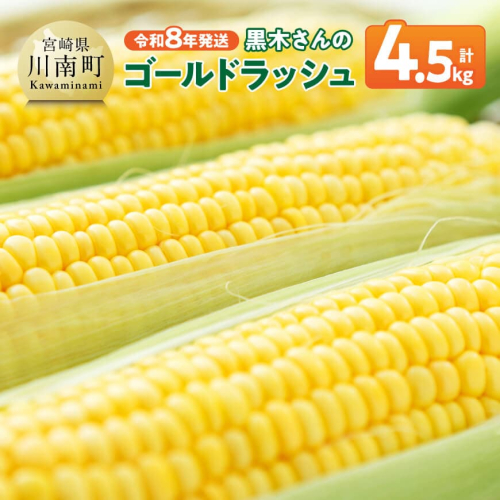 【令和8年発送】黒木さんのゴールドラッシュ4.5kg 【 数量限定 季節限定 産地直送 とうもろこし コーン とうきび 野菜 】 2318559 - 宮崎県川南町