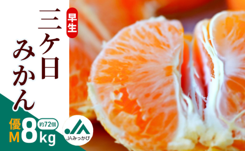 早生三ケ日みかん 優M 8kg （約72個） みかん ミカン フルーツ 果物 くだもの 機能性表示食品 浜松市
 2318586 - 静岡県浜松市