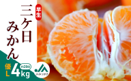 早生三ケ日みかん 優L 4kg （約28個） みかん ミカン フルーツ 果物 くだもの 機能性表示食品 浜松市