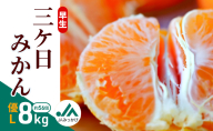 早生三ケ日みかん 優L 8kg （約56個） みかん ミカン フルーツ 果物 くだもの 機能性表示食品 浜松市