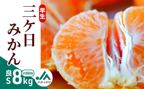 早生三ケ日みかん 良S 8kg （約88個） みかん ミカン フルーツ 果物 くだもの 機能性表示食品 浜松市 2318597 - 静岡県浜松市