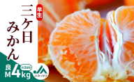 早生三ケ日みかん 良M 4kg （約36個） みかん ミカン フルーツ 果物 くだもの 機能性表示食品 浜松市