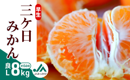 早生三ケ日みかん 良L 8kg （約56個） みかん ミカン フルーツ 果物 くだもの 機能性表示食品 浜松市 2318601 - 静岡県浜松市