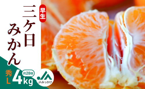 早生三ケ日みかん 秀L 4kg （約28個） みかん ミカン フルーツ 果物 くだもの 機能性表示食品 浜松市 2318605 - 静岡県浜松市