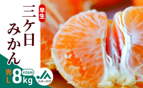 早生三ケ日みかん 秀L 8kg （約56個） みかん ミカン フルーツ 果物 くだもの 機能性表示食品 浜松市 2318606 - 静岡県浜松市