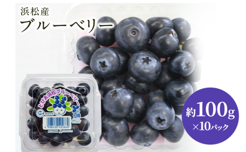 【浜松市産】ブルーベリー 約100g×10パック 計約1kg 甘酸っぱい アントシアニン 食物繊維 ビタミン ミネラル 抗酸化作用 腸内環境改善 美容 美肌 健康 静岡県 浜松市 2318607 - 静岡県浜松市