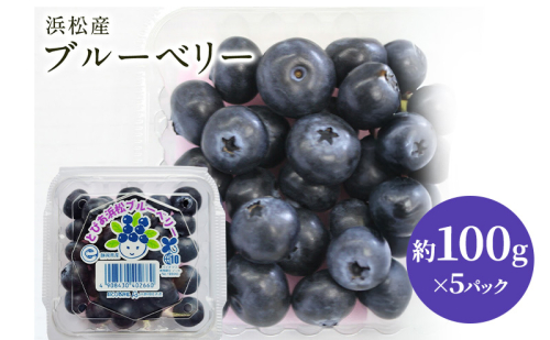 【浜松市産】ブルーベリー 約100g×5パック 計約500g 甘酸っぱい アントシアニン 食物繊維 ビタミン ミネラル 抗酸化作用 腸内環境改善 美容 美肌 健康 静岡県 浜松市 2318608 - 静岡県浜松市