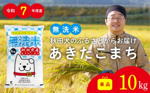 令和7年産秋田県産あきたこまち(無洗米)10kg / 米 無洗米 10kg 白米 令和7年産 秋田県産 あきたこまち 5kg×2袋 おにぎり 大館 東北 秋田 小分け こわけ 大館市 10キロ 10ｷﾛ 10きろ【70P051001-T-01-10-oi3】【ふるさと納税3.0】 231874 - 秋田県大館市