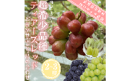 ティアーズレッド　おまかせぶどう詰め合わせ（2~3房）
