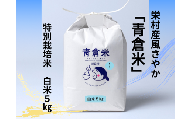 《令和７年産》長野県栄村産風さやか「青倉米」特別栽培米白米５kg