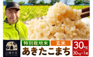 秋田県 横手市 【玄米】令和7年産 特別栽培米 あきたこまち 30kg（30kg×1袋）