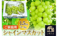 横手市産 シャインマスカット 約1.5kg（2～3房）ご家庭用