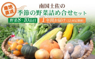 【毎月お届け 全12回コース】南国土佐の季節の野菜詰め合せセット | 定期便 セット 詰め合わせ 旬 やさい 野菜 卵 農家直送 お楽しみ かぼちゃ カボチャ キャベツ きゃべつ トマト とまと 玉ねぎ たまねぎ タマネギ きゅうり キュウリ 旬野菜 夏野菜 春野菜 人気 高知県 南国市