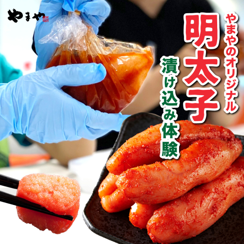 やまやのオリジナル明太子漬け込み体験　AZ095 2319142 - 福岡県篠栗町