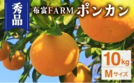 NT2-7-08 ＜先行予約＞【kg数が選べる】秀品ポンカン　Mサイズ　10kg
