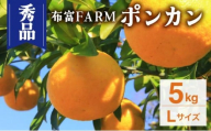 NT2-7-09 ＜先行予約＞【kg数が選べる】秀品ポンカン　Lサイズ　5kg