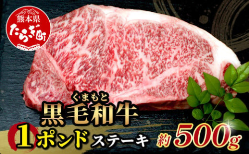【2月発送】くまもと黒毛和牛 1ポンド ステーキ 約500g《 黒毛 和牛 1 pound ステーキ 500g ブランド牛 上質 常備 冷凍 熊本県 》113-0512-02 2319311 - 熊本県多良木町