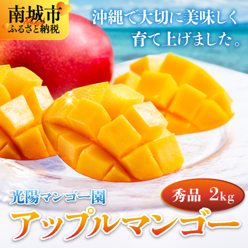 ＜先行予約・数量限定＞アップルマンゴー 秀品（2kg）KM002 2319393 - 沖縄県南城市