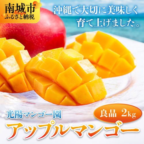 ＜先行予約・数量限定＞アップルマンゴー 良品（2kg）KM004 2319395 - 沖縄県南城市