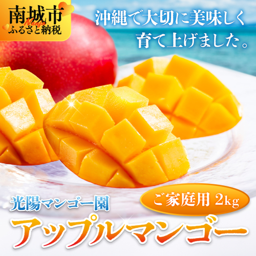 ＜先行予約・数量限定＞アップルマンゴー ご家庭用（2kg）KM006 2319397 - 沖縄県南城市