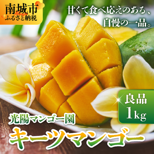 ＜先行予約・数量限定＞キーツマンゴー 良品（1kg）KM007 2319398 - 沖縄県南城市