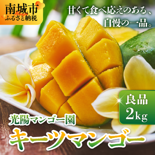 ＜先行予約・数量限定＞キーツマンゴー 良品（2kg）KM008 2319399 - 沖縄県南城市