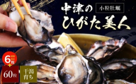 【期間限定】ひがた美人 (牡蠣 60粒 + 6粒) 堪能セット | 養殖 冷蔵 かき オイスター 酒の肴 つまみ おかず 大分県産 九州産 国産 大分県 中津市