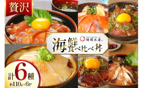 海鮮丼 6種の贅沢食べ比べ丼 1p約110g 6p 真空パック [請関水産 宮崎県 日向市 452061668] 海鮮丼の具 海鮮 海鮮丼セット 食べ比べ 丼 冷凍 ギフト 漬け丼 ぶり マダイ 真鯛 かんぱち カンパチ まぐろ マグロ サーモン かつお カツオ 2319898 - 宮崎県日向市