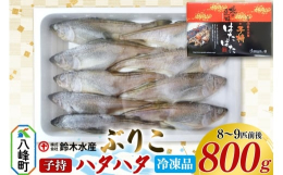 【ふるさと納税】子持ち ハタハタ ブリコ ぶりこ メス 800g（8〜9匹前後）冷凍品 はたはた 鰰 子持ちハタハタ 子持ちはたはた 鈴木水産