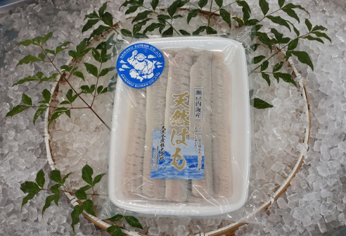 G-157　瀬戸内海産 天然はも骨切り 2320624 - 兵庫県たつの市