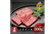 【ふるさと納税】【肉の天園】神戸牛 ミニステーキ (5枚入) 300g SA05