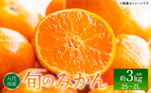 旬のみかん 2S～2Lサイズ 約3kg ミカン 柑橘 果物 フルーツ 旬 デザート 2321323 - 熊本県八代市