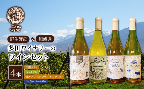 【野生酵母】辛口白ワイン4本 多田ワイナリー 北海道 上富良野町 ワイン セット お酒 アルコール 2321353 - 北海道上富良野町