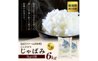 ＜毎月定期便＞関川村産コシヒカリ6kg 丁寧に育てた贅沢米 [山口ファーム]全6回【4073239】