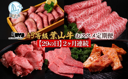 【29の日定期便】2ヶ月連続 葉山牛 定期便 カタログ ギフト カルビ切り落し ジューシー 黒毛和牛 霜降り 赤身 肉 焼く 家族 贈り物 受賞 うし 和牛 冷凍 良質 冷凍便 送料無料 冨士屋牛肉店 神奈川県 逗子市 2321421 - 神奈川県逗子市