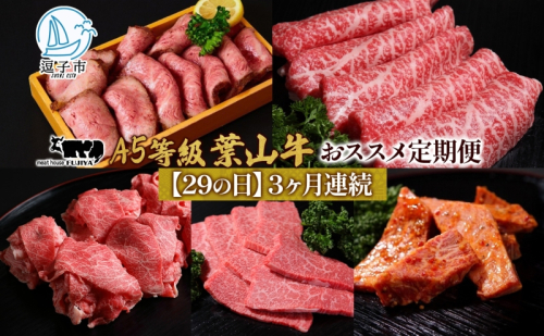 【29の日定期便】3ヶ月連続 葉山牛 定期便 カタログ ギフト カルビ切り落し ジューシー 黒毛和牛 霜降り 赤身 肉 焼く 家族 贈り物 受賞 うし 和牛 冷凍 良質 冷凍便 送料無料 冨士屋牛肉店 神奈川県 逗子市 2321422 - 神奈川県逗子市