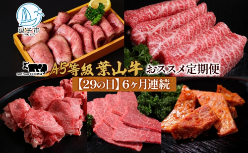 【29の日定期便】6ヶ月連続 葉山牛 定期便 カタログ ギフト カルビ切り落し ジューシー 黒毛和牛 霜降り 赤身 肉 焼く 家族 贈り物 受賞 うし 和牛 冷凍 良質 冷凍便 送料無料 冨士屋牛肉店 神奈川県 逗子市 2321423 - 神奈川県逗子市