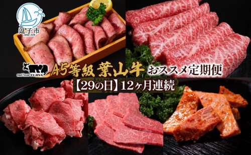 【29の日定期便】12ヶ月連続 葉山牛 定期便 カタログ ギフト カルビ切り落し ジューシー 黒毛和牛 霜降り 赤身 肉 焼く 家族 贈り物 受賞 うし 和牛 冷凍 良質 冷凍便 送料無料 冨士屋牛肉店 神奈川県 逗子市 2321424 - 神奈川県逗子市