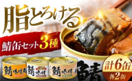 鯖缶詰 6缶 詰め合わせD 180g×6缶 本醸造醤油仕立て 生姜 味噌煮 / サバ缶 鯖缶 さば缶 鯖 サバ さば 小浜市 / 福井缶詰 [BFAB058]