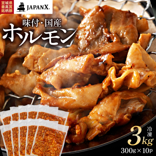 JAPAN X 味付ホルモン 300g×10 計3kg　豚肉 豚 ブランド豚 小分け 豚ホルモン ホルモン ジャパンエックス 蔵王 人気【04301-0882】 2321897 - 宮城県蔵王町