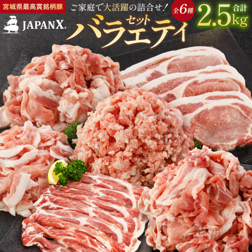 JAPAN X バラエティセット 第2弾 6種 2.5kg　豚肉 豚 ブランド豚 小分け バラエティセット 豚こま 豚バラ 豚ロース ひき肉 ジャパンエックス 蔵王 人気　【04301-0888】 2321908 - 宮城県蔵王町