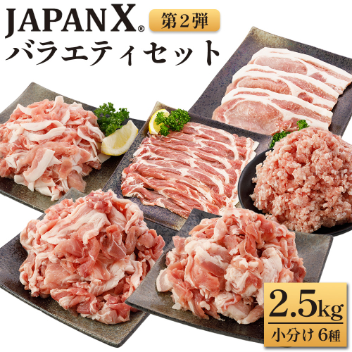 JAPAN X バラエティセット 第2弾 6種 2.5kg　豚肉 豚 ブランド豚 小分け バラエティセット 豚こま 豚バラ 豚ロース ひき肉 ジャパンエックス 蔵王 人気　【04301-0888】 2321908 - 宮城県蔵王町