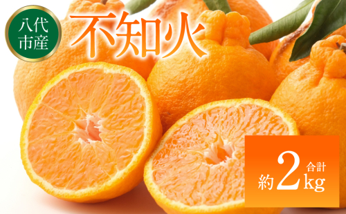 【先行予約】 不知火（デコポンと同品種） 約2kg しらぬい でこみかん 柑橘 ミカン ポンカン くだもの 果物 フルーツ 【2026年1月下旬より順次発送】 2321950 - 熊本県八代市